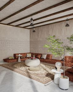 a living room filled with furniture and a potted plant on top of a rug