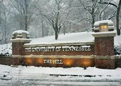 the university of tennessee sign is covered in snow on a snowy day with trees and bushes