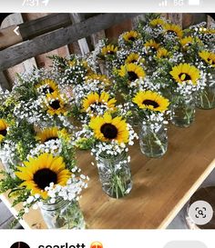 sunflowers and baby's breath are arranged in mason jars on a table