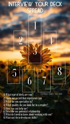 a sunflower is shown with the words interview your deck spread in front of it