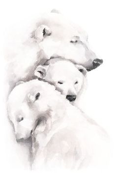 three polar bears are huddled together in this watercolor painting by artist mark adkins