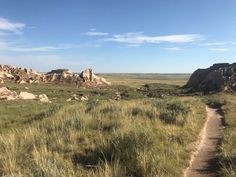 a dirt path in the middle of a grassy field with large rocks on either side