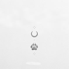 an image of a cat's paw with water droplets on the bottom and below it