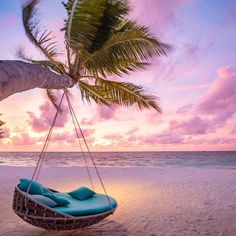 a hammock hanging from the side of a palm tree on a beach at sunset