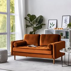 an orange couch sitting in front of a window next to a table with a potted plant