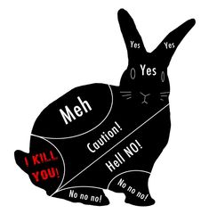 a rabbit with the words i kill you written on it's back and side