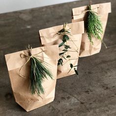 three brown paper bags with green plants tied to them