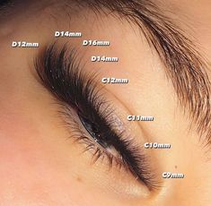 Volume Eyelashes, Cat Eye Look, Evening Eye Makeup, Classic Lashes, Eyelashes Extensions, Cat Eye Lash