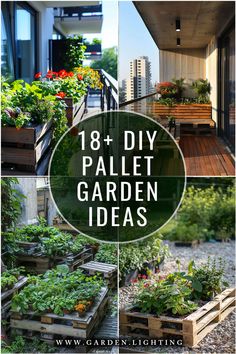 a collage of photos of a garden with a wooden pallet Pallet Veggie Garden Diy, Unique Raised Garden Beds Diy, Raised Gardens Out Of Pallets, Pallet Board Planters, Pallets Garden Ideas, Planting In Pallets, Using Pallets For Gardening, Pallet Trellis For Garden, Pallet Raised Garden Bed Diy