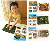 a young boy sitting on top of a green rug next to pictures of animals and grass