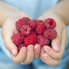 raspberries are being held in the palm of someone's hands with green leaves