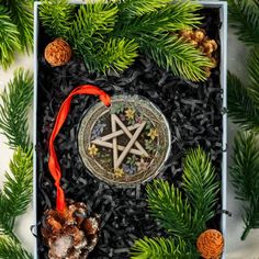 a star ornament in a box surrounded by pine cones