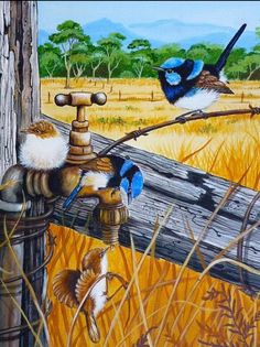 two blue birds sitting on top of a wooden fence next to a faucet