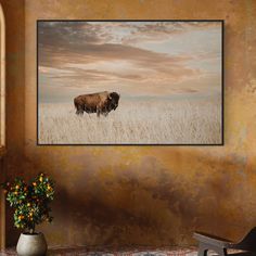 a bison standing in the middle of a field under a cloudy sky with orange flowers