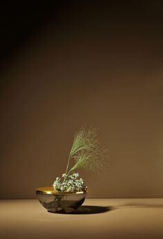 a small plant in a bowl on a table with a light brown wall behind it