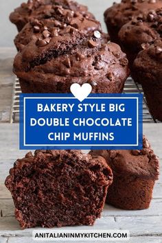 several chocolate muffins with the words bakery style big double chocolate chip muffins