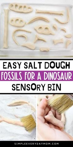 how to make easy salt dough fossils for a dinosaur's sensory bin