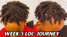 Week 5 MEN Dreadlock journey *UPDATE*Two strand twist starter locs - YouTube Loc Method