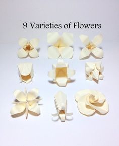 paper flowers are arranged on a white surface with the words 9 varieties of flowers written below