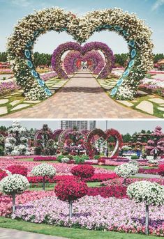 two pictures with flowers in the shape of heart and another photo that has been made to look like a flower garden