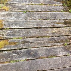 an old wooden walkway with grass growing on it