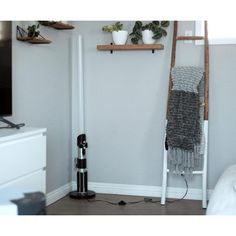 a room with a ladder and some potted plants on the wall next to it