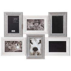 four framed pictures with an image of a cow in the middle and two cows behind them