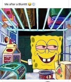 spongebob holding a cup in the kitchen