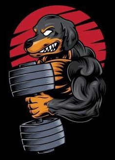 a dog is holding a barbell with its mouth open