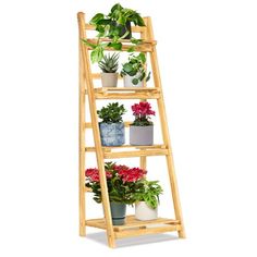 three tiered plant stand with potted plants on each shelf and flowers in the bottom