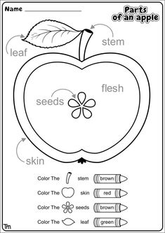 an apple worksheet with words and pictures to help students learn how to read