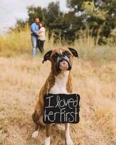 a dog holding a sign that says i loved her first with the caption,