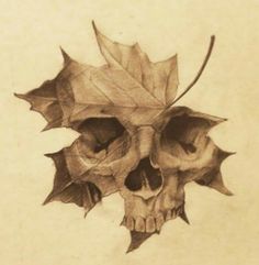 a pencil drawing of a skull with a leaf on it's head and eyes