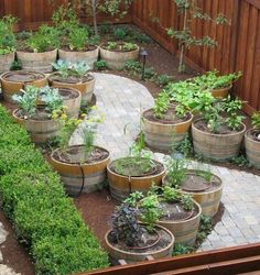 an outdoor garden with wooden barrels and various plants in the center, surrounded by brick pavers