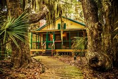 the cabin is surrounded by trees and leaves