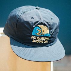 Dandy Lion, Ocean And Beach, Surfrider Foundation, Navy Logo, The Beach Boys, Men's Apparel, Cap Design, Travel Aesthetic, Ocean Waves