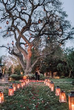 a large tree with many lit candles in front of it