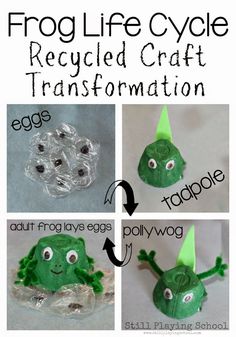 frog life cycle made from recycled craft paper