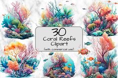 coral reef clipart with colorful sea life