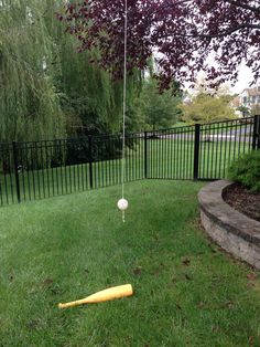 a ball and bat in the grass near a fence