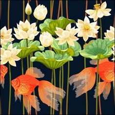 two goldfish and white water lilies in the pond - animals characters