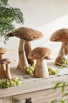 several mushrooms sitting on top of a table next to a potted plant in front of them