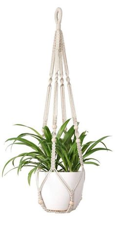 a potted plant hanging from a rope