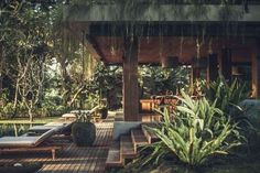 a wooden deck with chaise lounges next to a swimming pool in the jungle