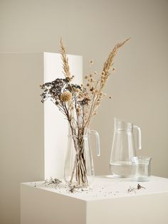 two vases with dried flowers in them sitting on a white surface next to each other