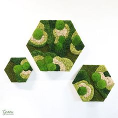 Our hexagonal moss art not only enhances the aesthetic of our clients' offices but also brings a calming, organic vibe to their space. Perfect for creating an inviting atmosphere while celebrating biophilia! ...  #preservedmoss #biophilicdesign #plantart #plantwall #livingwall #customart #officedecor #hgtv #customdesign #interiordesign #walldecor #mossdesign #greenwall #mossforwalls #plantpainting #verticalplants #mosslogo #mossonlogo #logowithmoss #greenlogo Hexagon Art, Labyrinth Design