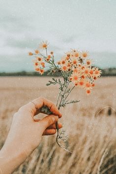 a person holding flowers in their hand while standing in the middle of a wheat field