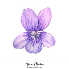 a purple flower on a white background