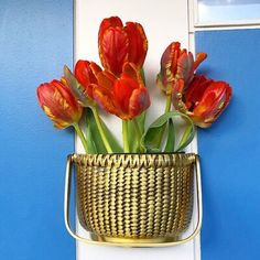 some red flowers are in a basket on the wall