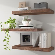 two wooden shelves with books and plants on them